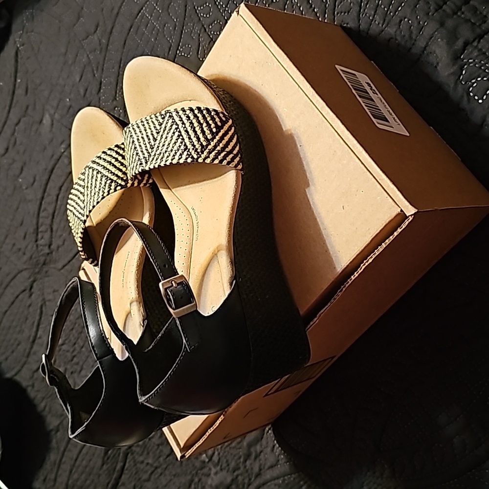 Clark Wedges
